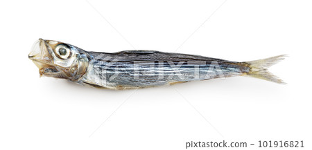 An amusing parlor 101916821