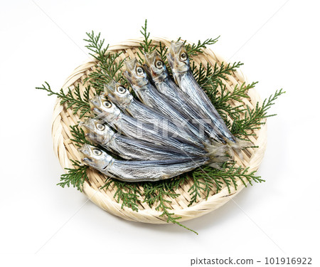 一個有趣的客廳 101916922