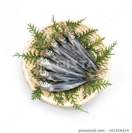 An amusing parlor 101916924