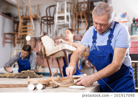 Professional elderly craftsman restorer in uniform renewing antique chair while working in repair shop Professional elderly craftsman restorer in uniform renewing antique chair while working in repair shop 101917098