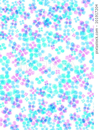 hydrangea background white hydrangea background white 101917204