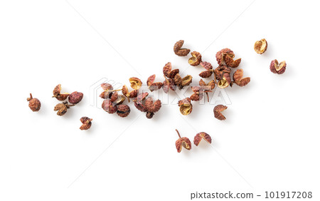 Pepper 101917208