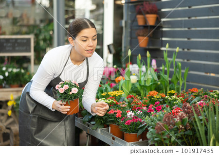 Woman seller holding garden carnation in flower shop 101917435