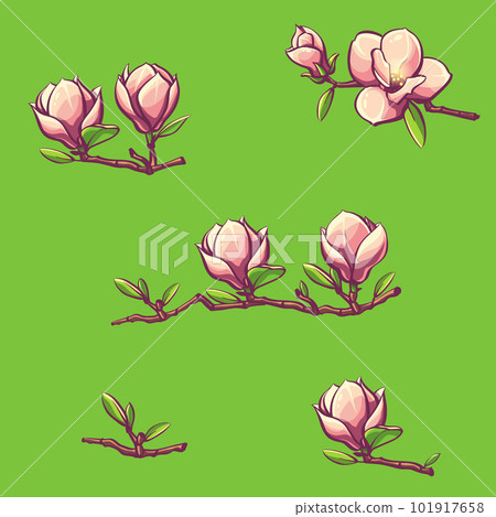 Branches of magnolia on a green background Branches of magnolia on a green background 101917658
