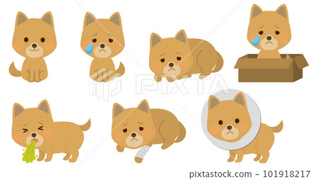 Cute dog character set illustration Cute dog character set illustration 101918217
