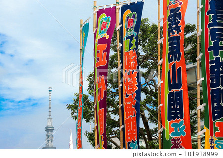 相撲旗和晴空塔 101918999