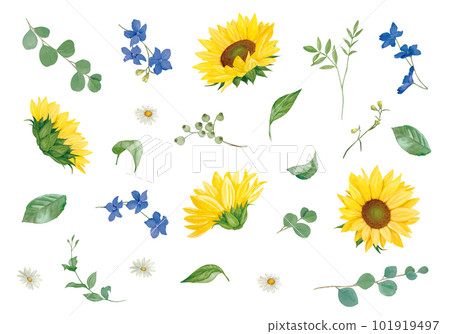 Sunflower and delphinium material set 101919497