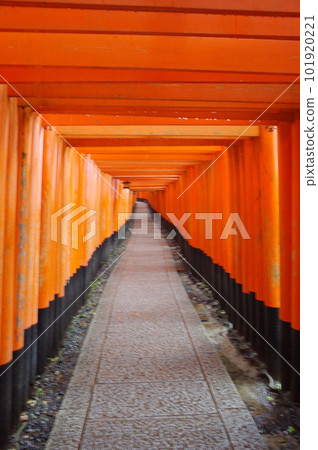 Kyoto Fushimi Inari Shrine Kyoto Fushimi Inari Shrine 101920221