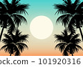 palm, palm tree, sunset 101920316
