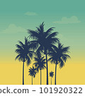 palm, palm tree, sunset 101920322