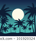 palm, palm tree, sunset 101920324