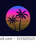 palm, palm tree, sunset 101920325