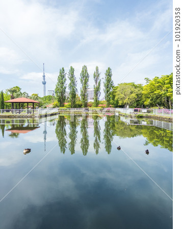 Landscape of Sarue Onshi Park 101920358