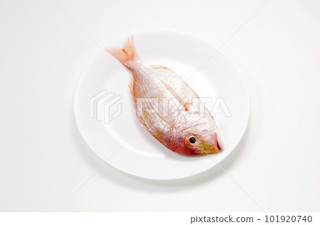 盤子裡的蓮花台 101920740