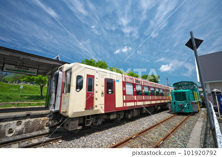 Shinshu JR Iiyama Line A sightseeing train "Oikotto" and a diesel locomotive stopping at Togari-Nozawa Onsen Station in the fresh greenery 101920792