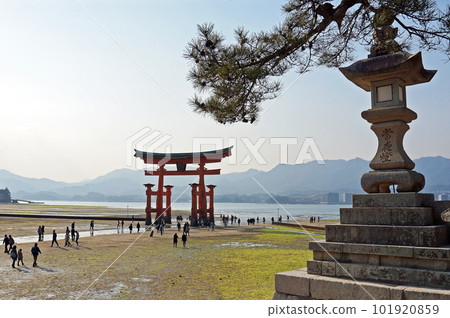 Aki no Miyajima Red Otorii of Itsukushima Shrine Aki no Miyajima Red Otorii of Itsukushima Shrine 101920859