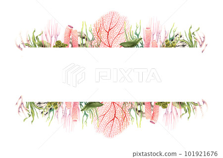 Horizontal banner frame with underwater corals and plants. Hand drawn watercolor illustration isolated on white 101921676