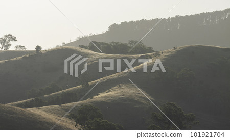 Abstract photo of layers of sunshine bathed hills at sunset 101921704