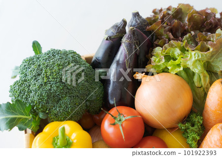 Photo of a basket full of vegetables 101922393