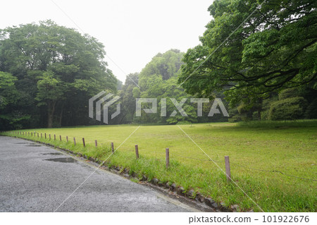 Meiji Shrine in the rain Meiji Shrine in the rain 101922676