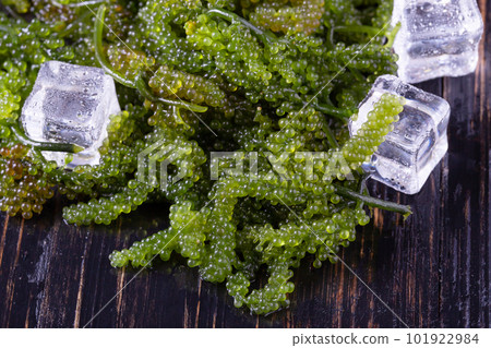 Sea grapes ( green caviar ) seaweed, 101922984