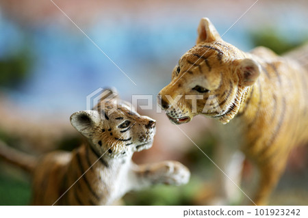 A tiger parent and child figure displayed in a natural diorama A tiger parent and child figure displayed in a natural diorama 101923242