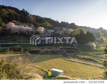 Spring scenery of satoyama with cherry blossoms 101923285