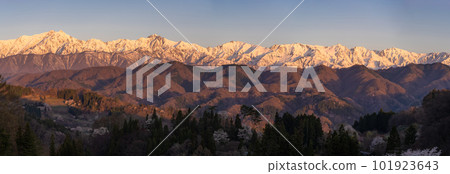 《Nagano Prefecture》Northern Alps Morgenroth in spring with remaining snow 101923643