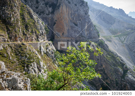 Cares trail - ruta del Cares - in Picos de Europa, Asturias, Spain Cares trail - ruta del Cares - in Picos de Europa, Asturias, Spain 101924003