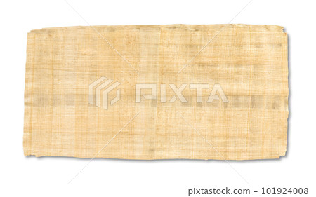 Old papyrus texture isolated on white background. Banner wallpaper 101924008