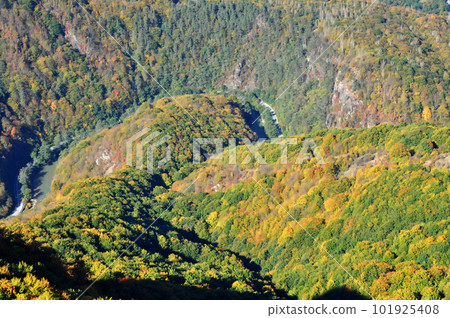 Mountain autumn landscape with colorful forest 101925408