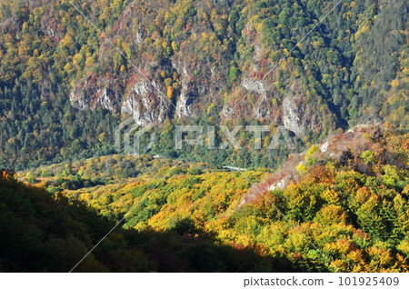 Mountain autumn landscape with colorful forest 101925409