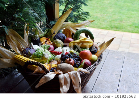 Basket of organic food vegetables Basket of organic food vegetables 101925568