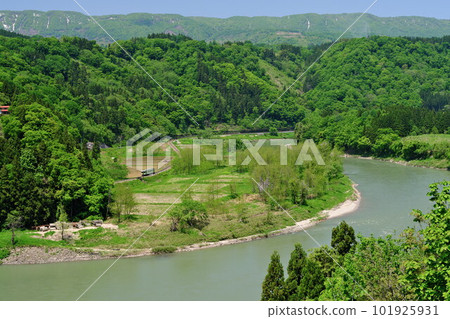 信州 JR 飯山線 沿著蜿蜒的鮮綠築間川行駛的普通電車（上境站與上桑川站之間） 101925931