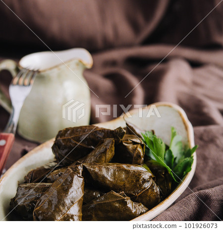 Dolma cabbage rolls grape leaves with filling 101926073