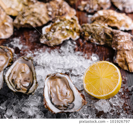 Opened oysters, ice and lemon on board 101926797