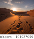 Sunset Over the Namib Desert 101927059