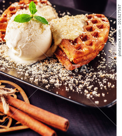 Ice cream with belgian waffles, fresh mint, vanila topping and cinnamon 101927597