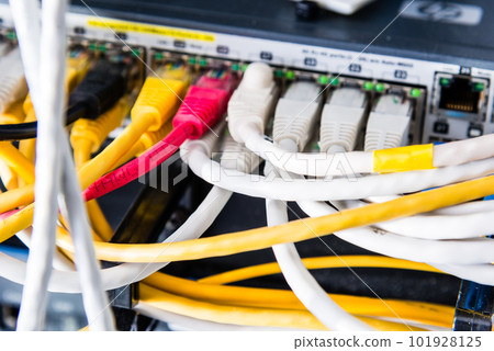 colorful patch cables connected to switch - high speed internet concept colorful patch cables connected to switch - high speed internet concept 101928125
