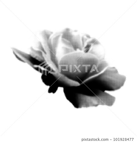 Rose collage. Design element in trendy dotted pop art style. Retro halftone effect. Vector illustration with vintage grunge punk cutout shape. 101928477