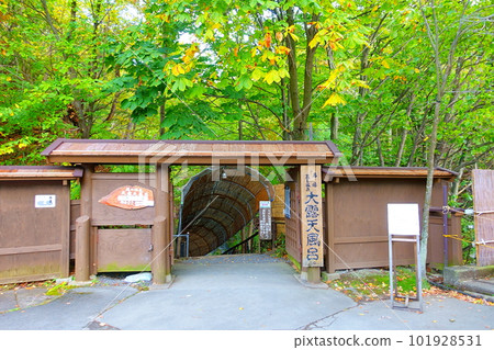 藏王溫泉大露天浴池藏王溫泉藏王露天浴池 藏王溫泉大露天浴池藏王溫泉藏王露天浴池 101928531