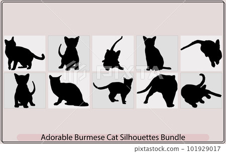 burmese cat cute pet glyph icon vector. burmese cat cute pet sign,Burmese Cat, Cat breed face cartoon flat icon design 101929017