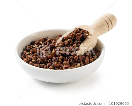 HanaHajikami 101929603