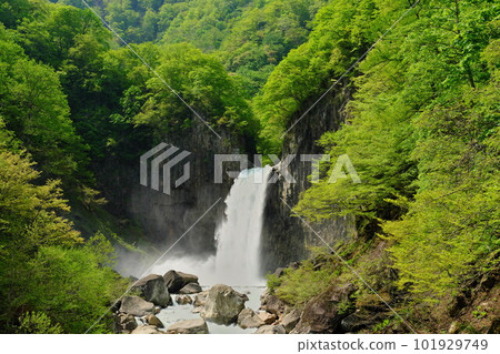 新潟縣妙高市內名瀑布 關川碧波蕩漾的瀑布 101929749