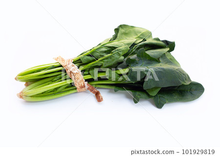 Fresh spinach on white background Fresh spinach on white background 101929819