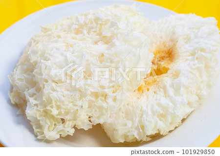 Tremella Mushroom in white plate on yellow background. 101929850
