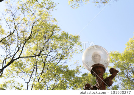 Street lamps on the premises of the housing complex (Korea) Street lamps on the premises of the housing complex (Korea) 101930277