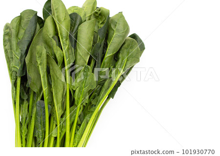Fresh spinach on white background Fresh spinach on white background 101930770