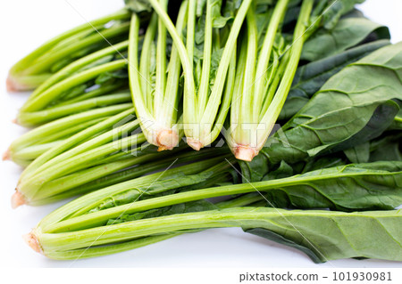 Fresh spinach on white background Fresh spinach on white background 101930981
