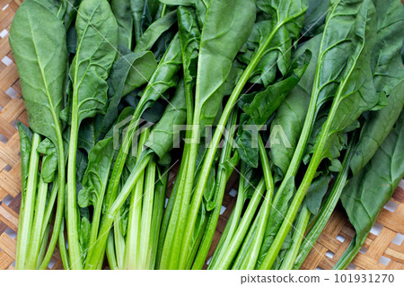 Fresh spinach in bamboo weaves plate 101931270